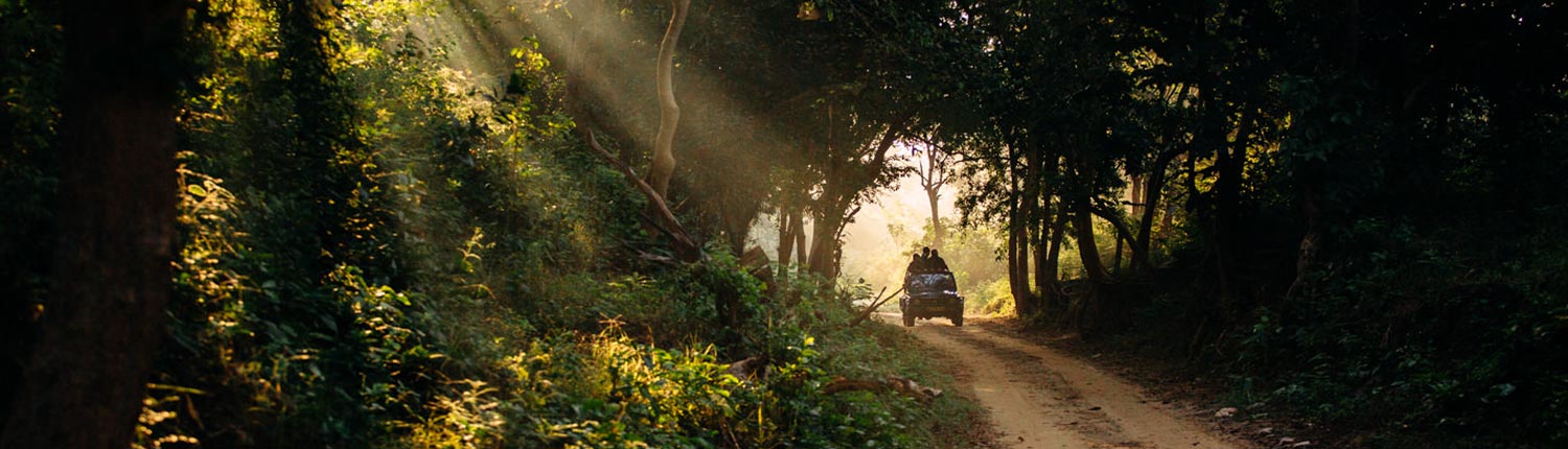Bijrani Forest Lodge / Zone | Jim Corbett National Park Online Booking Website | India