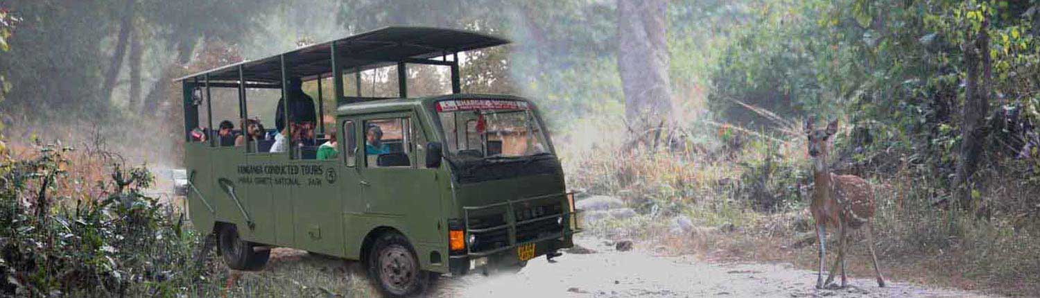 Dhikala Canter Safari Online Booking | Jim Corbett National Park Online Booking Website | India